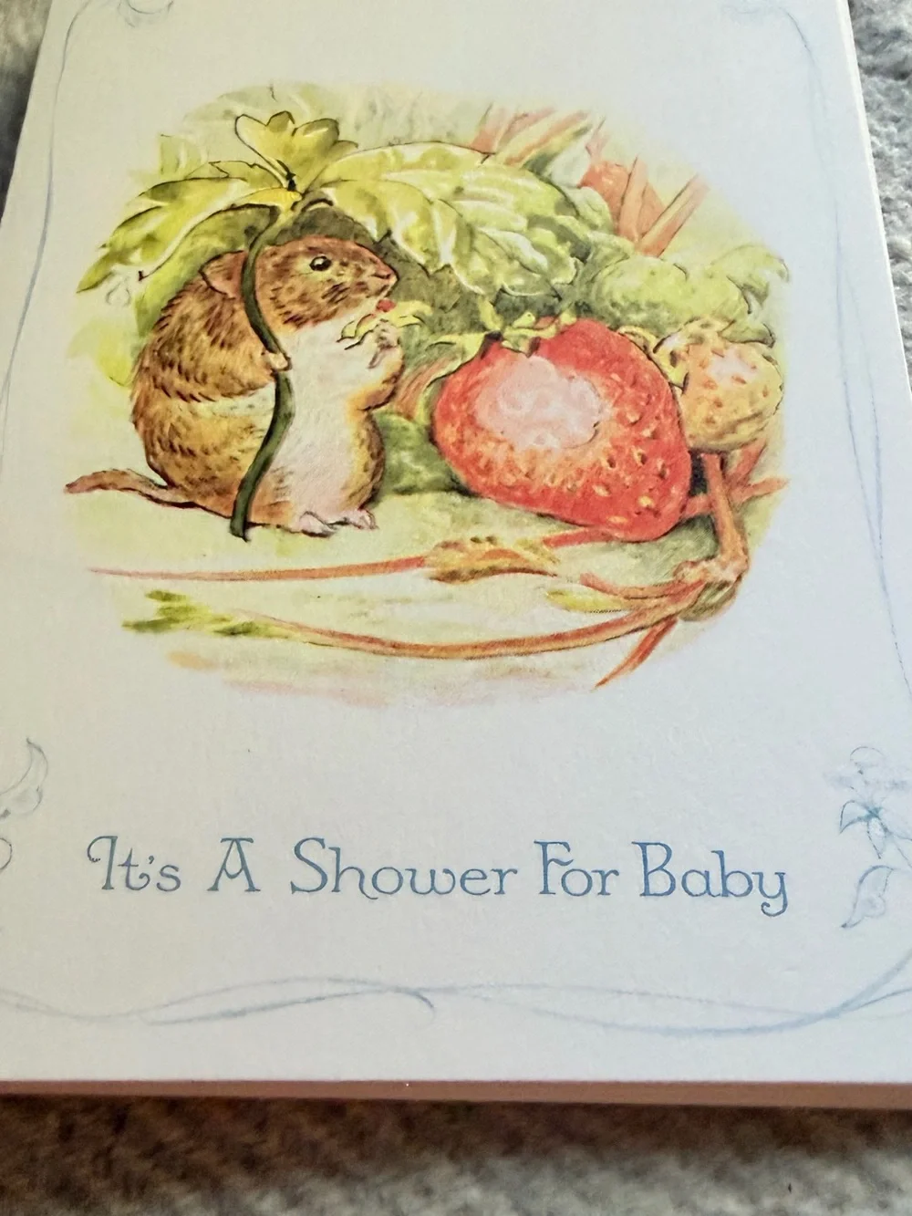 Clinton Prints Beatrix Potter Baby Shower Invitations 7 Folded Cards w Envelopes